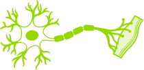 amyotrophic lateral sclerosis logo