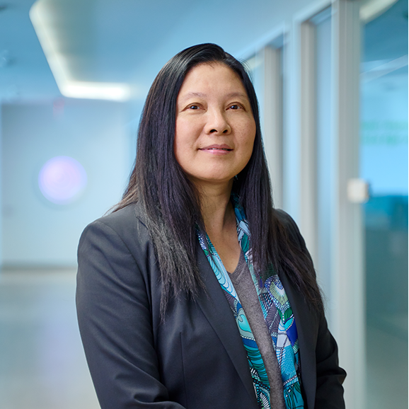 Lisa Meng, Ph.D.